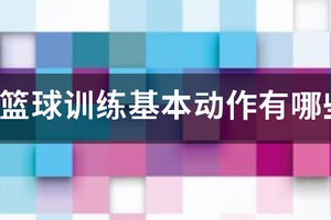 幼儿篮球训练视频教学
